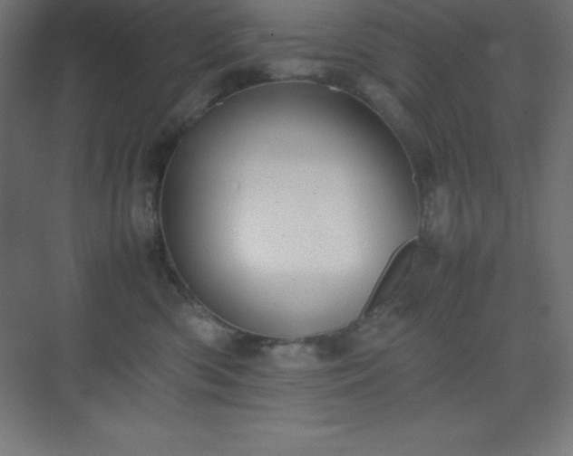 X0000075410426200609151852