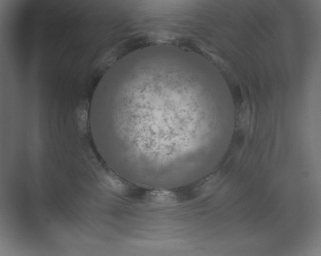 X0000075410427200609151852