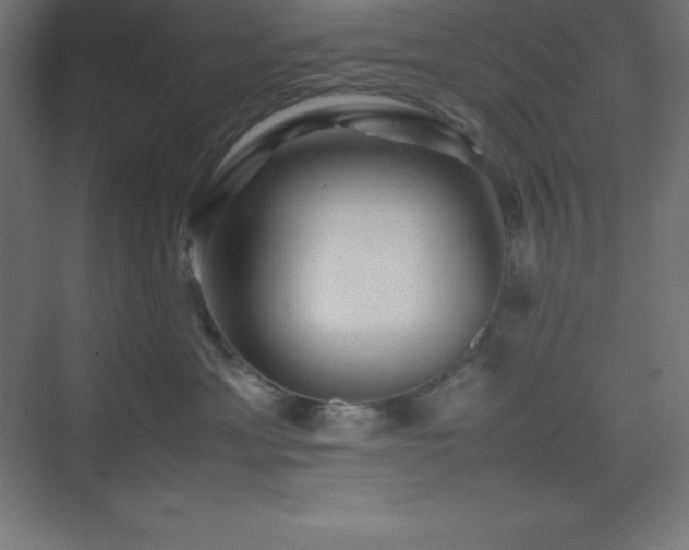 X0000075410429200609151852