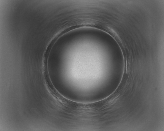 X0000075410435200609151851