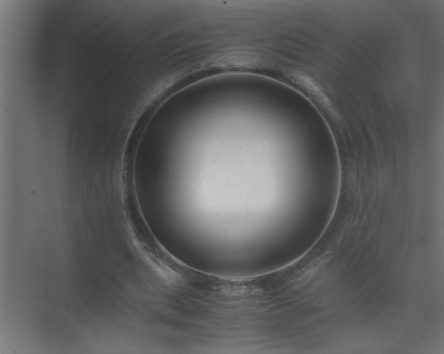 X0000075410439200609151851