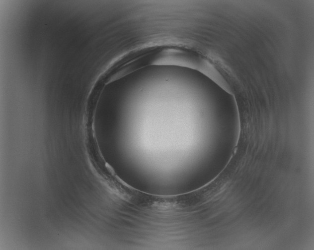 X0000075410440200609151851
