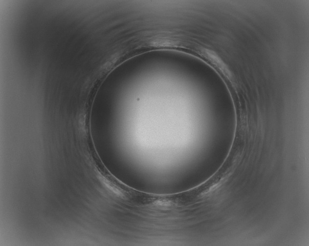 X0000075410441200609151851