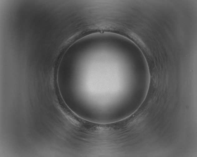X0000075410442200609151851