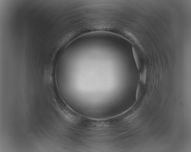 X0000075410443200609151851