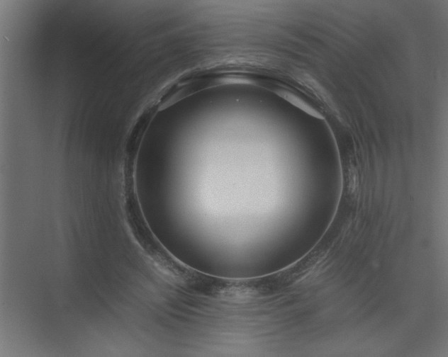 X0000075410444200609151851