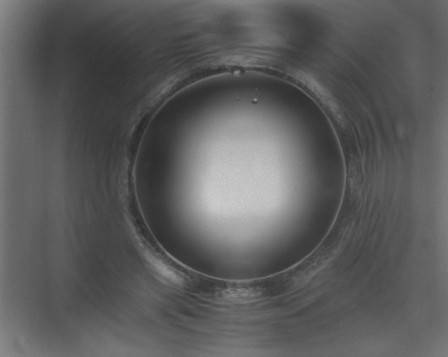 X0000075410445200609151851