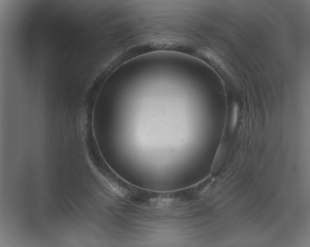 X0000075410448200609151851