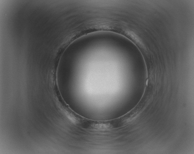 X0000075410449200609151851
