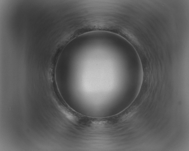 X0000075410450200609151851
