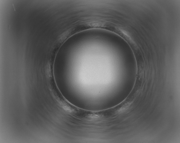 X0000075410453200609151851