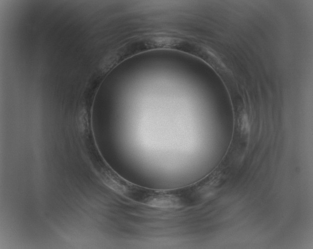 X0000075410459200609151851