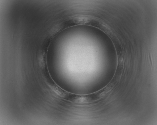X0000075410460200609151851