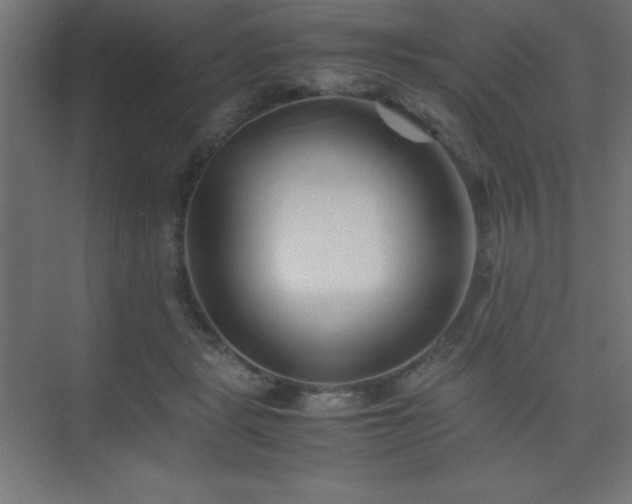 X0000075410461200609151851