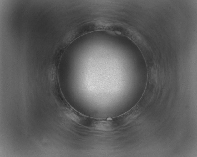 X0000075410463200609151851