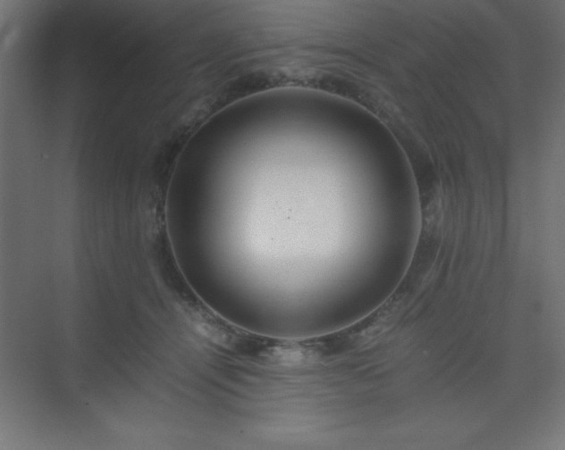 X0000075410464200609151851