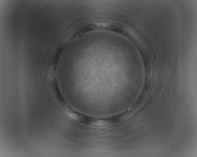 X0000075410467200609151851