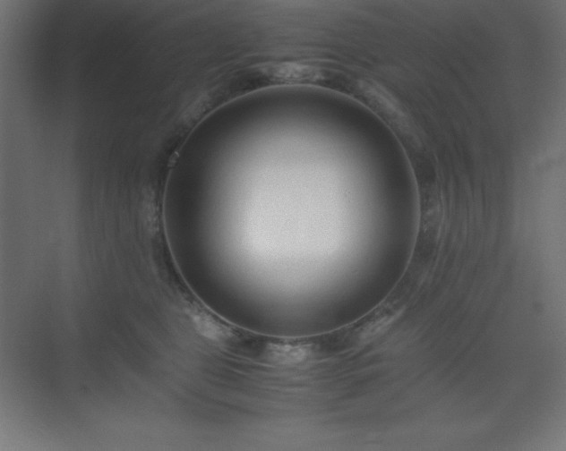 X0000075410469200609151851