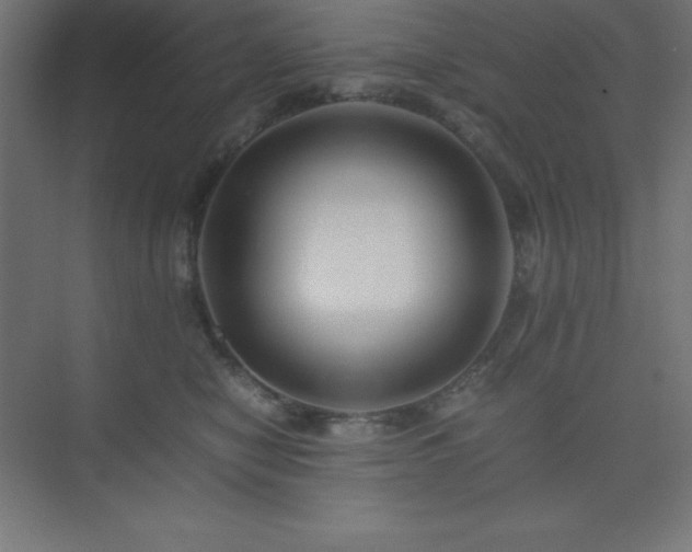 X0000075410470200609151851