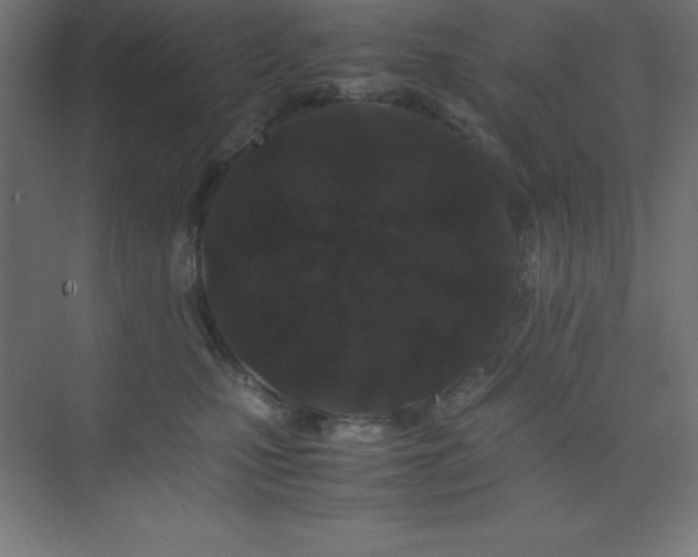 X0000075410471200609151851
