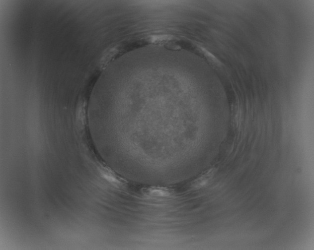 X0000075410475200609151851