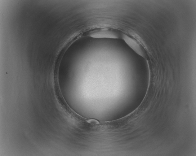 X0000075410482200609151851