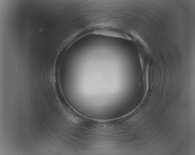 X0000075410486200609151851