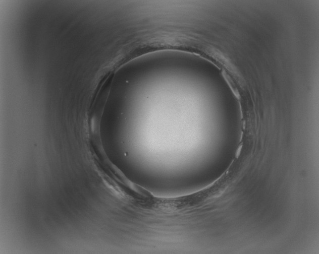 X0000075410489200609151851
