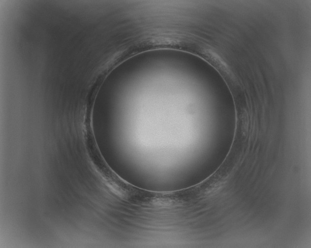X0000075410490200609151851