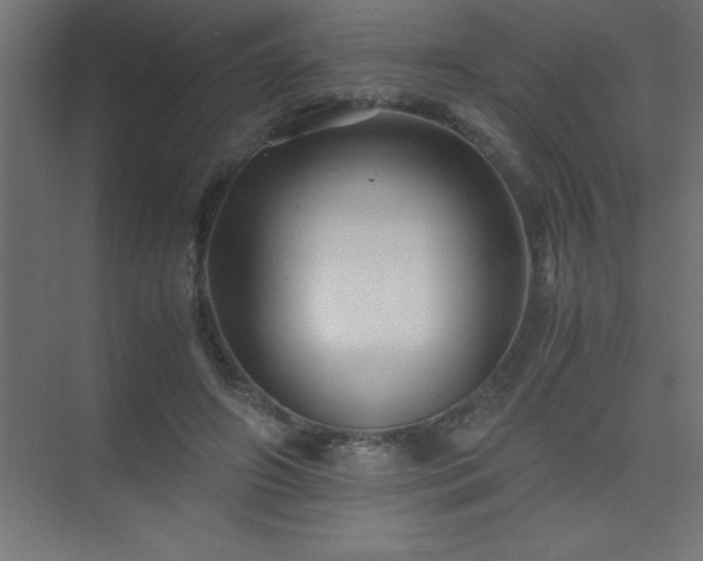 X0000075410498200609151850
