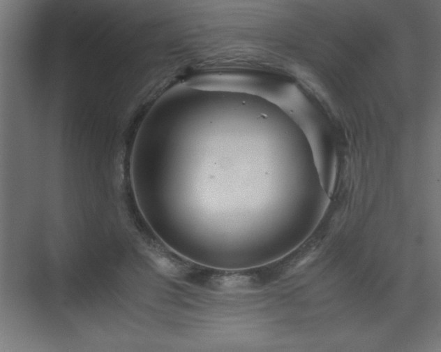 X0000075410501200609151850