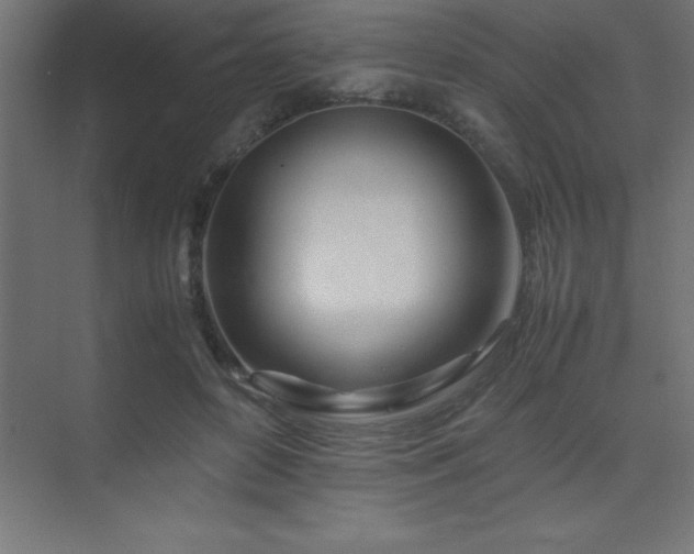 X0000075410504200609151850
