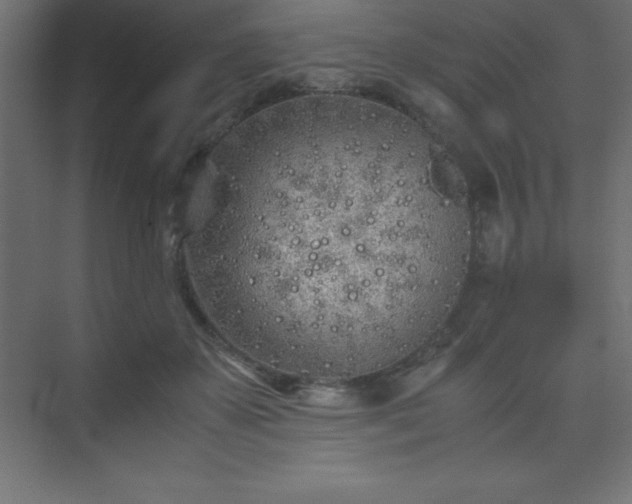 X0000075410507200609151850