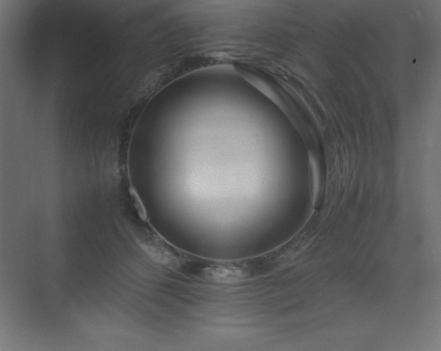 X0000075410512200609151850