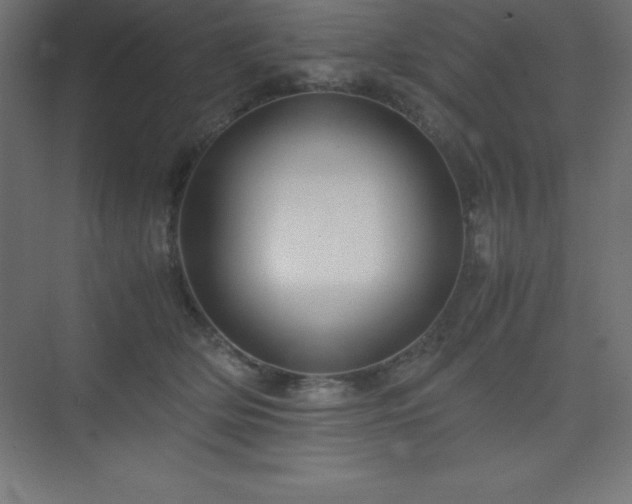 X0000075410514200609151850