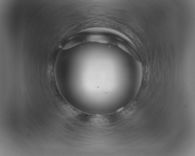 X0000075410521200609151850