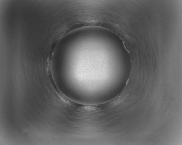 X0000075410528200609151850
