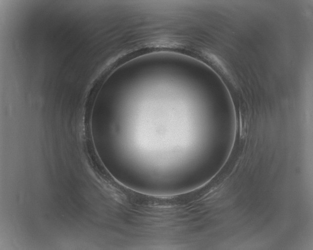 X0000075410531200609151849