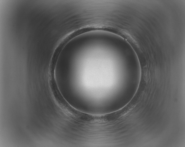 X0000075410536200609151849