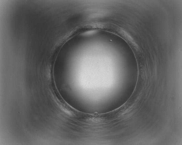 X0000075410537200609151849