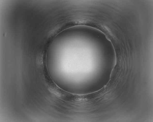 X0000075410543200609151849
