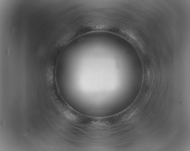 X0000075410545200609151849