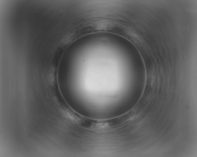 X0000075410554200609151850