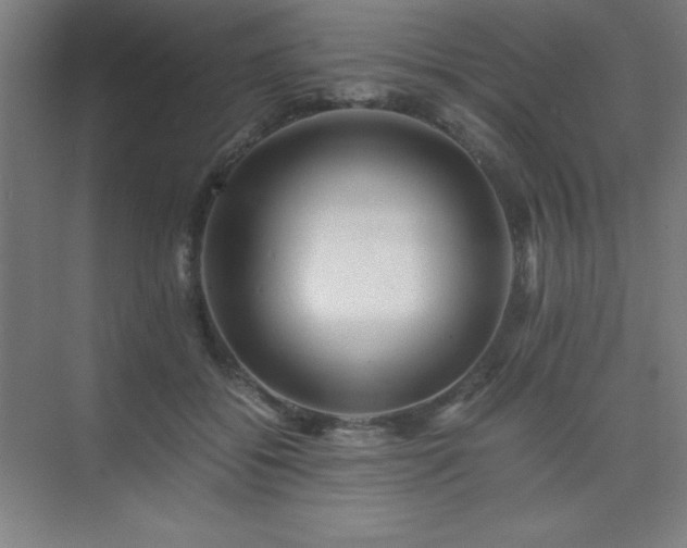 X0000075410556200609151850