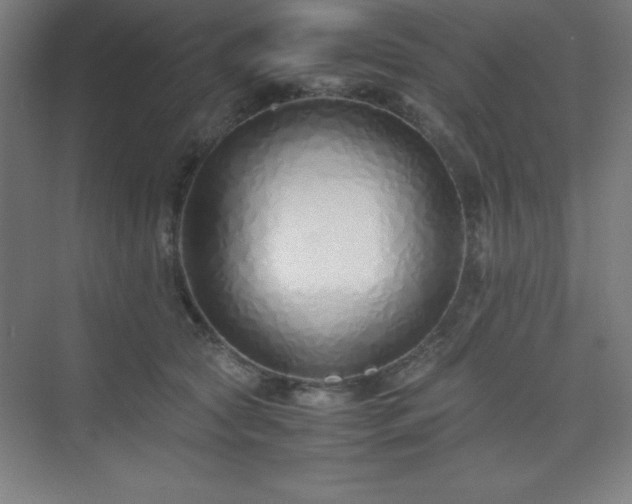 X0000075410561200609151850