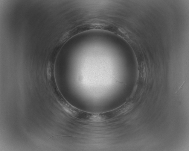 X0000075410562200609151850