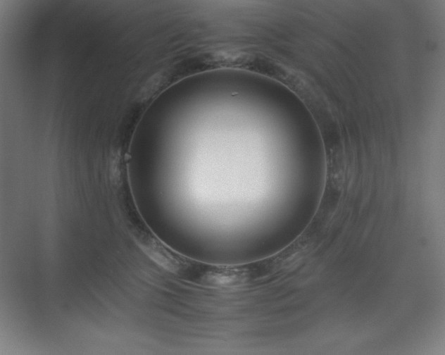 X0000075410563200609151850
