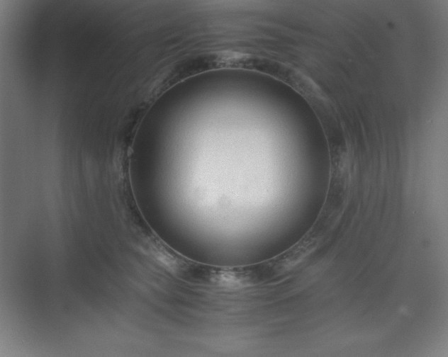 X0000075410565200609151850