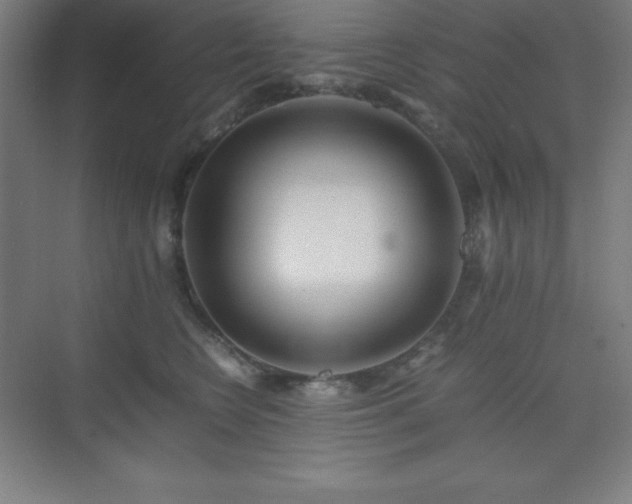 X0000075410566200609151850