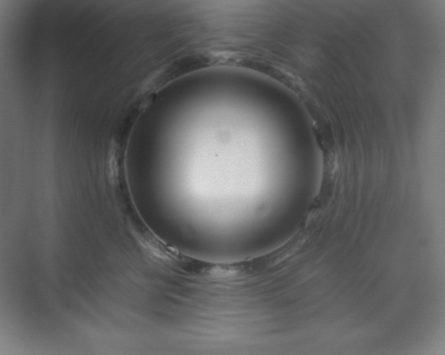X0000075410570200609151850